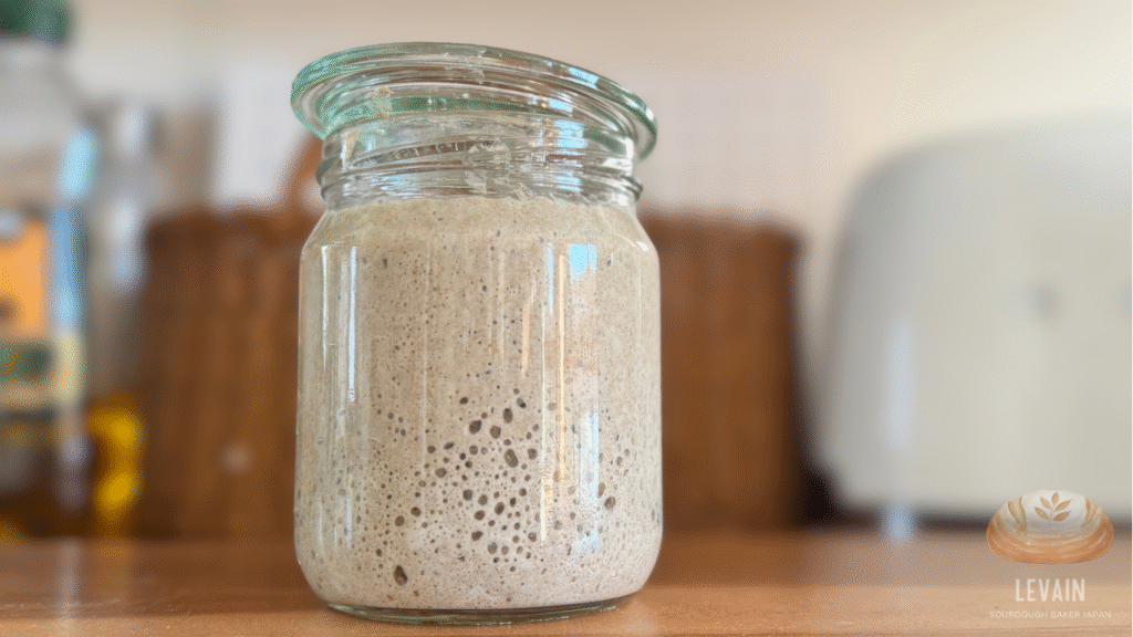 Sourdough starter