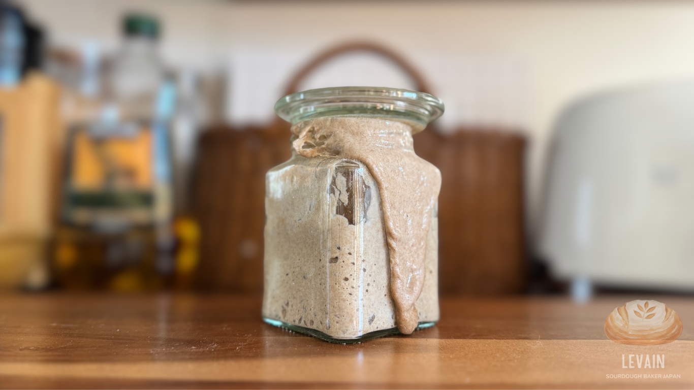 Sourdough starter